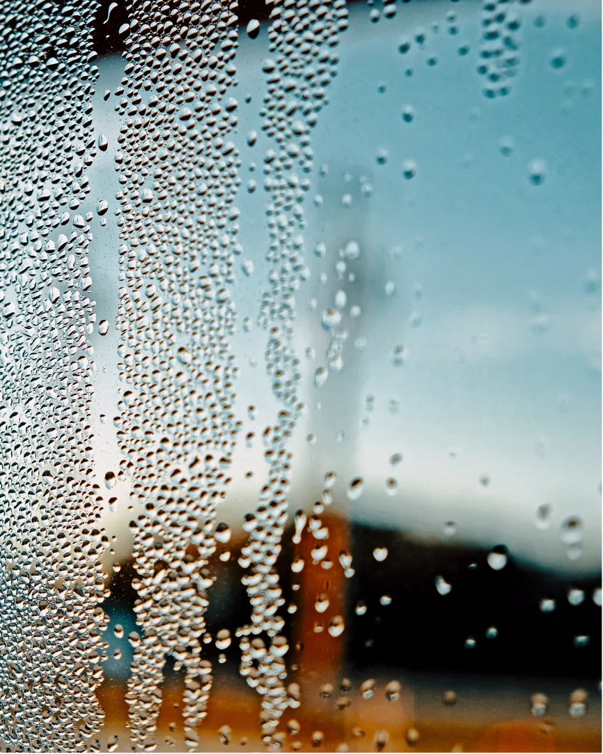 Copia de Beige Animated Skincare Product Instagram Story (600 x 600 px) (Pizarra online) (84)