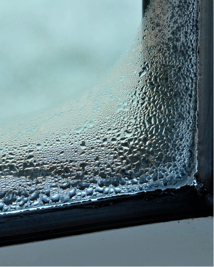 Copia de Beige Animated Skincare Product Instagram Story (600 x 600 px) (Pizarra online) (86)